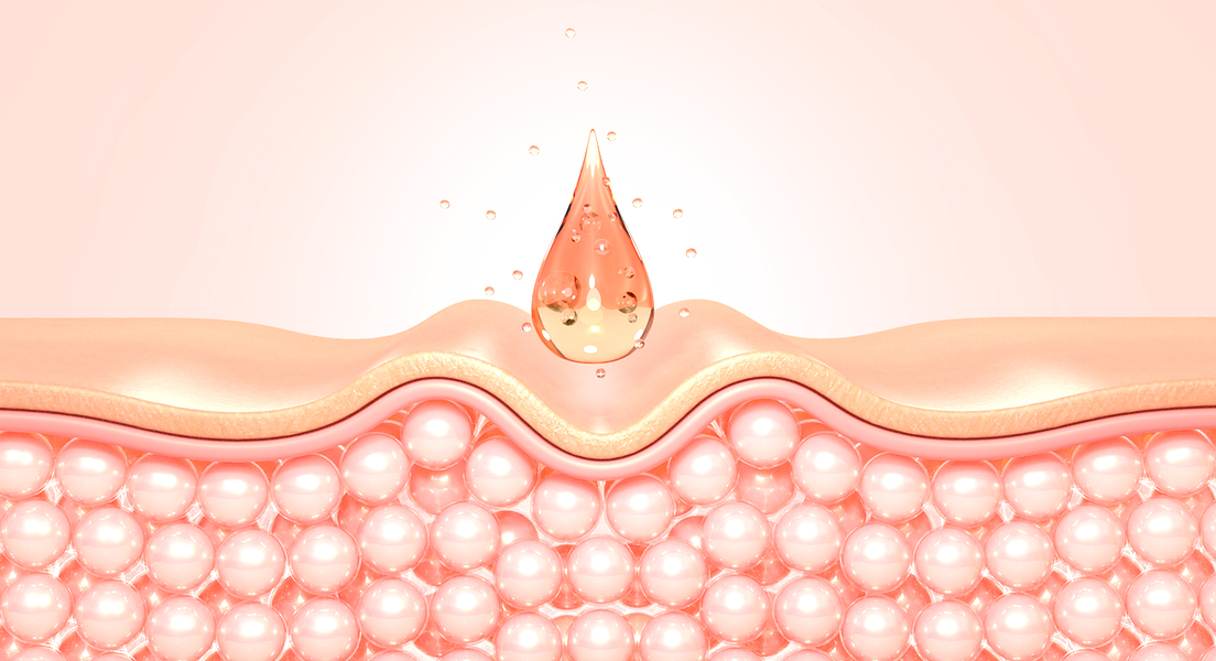 해마 피부 효능