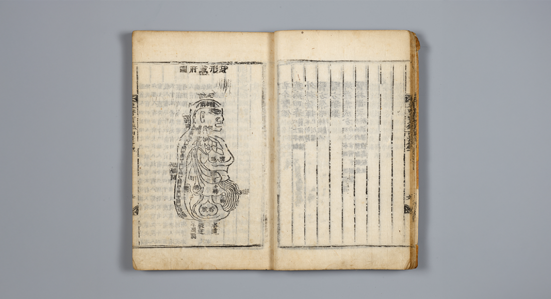 동의보감에 기록된 해마