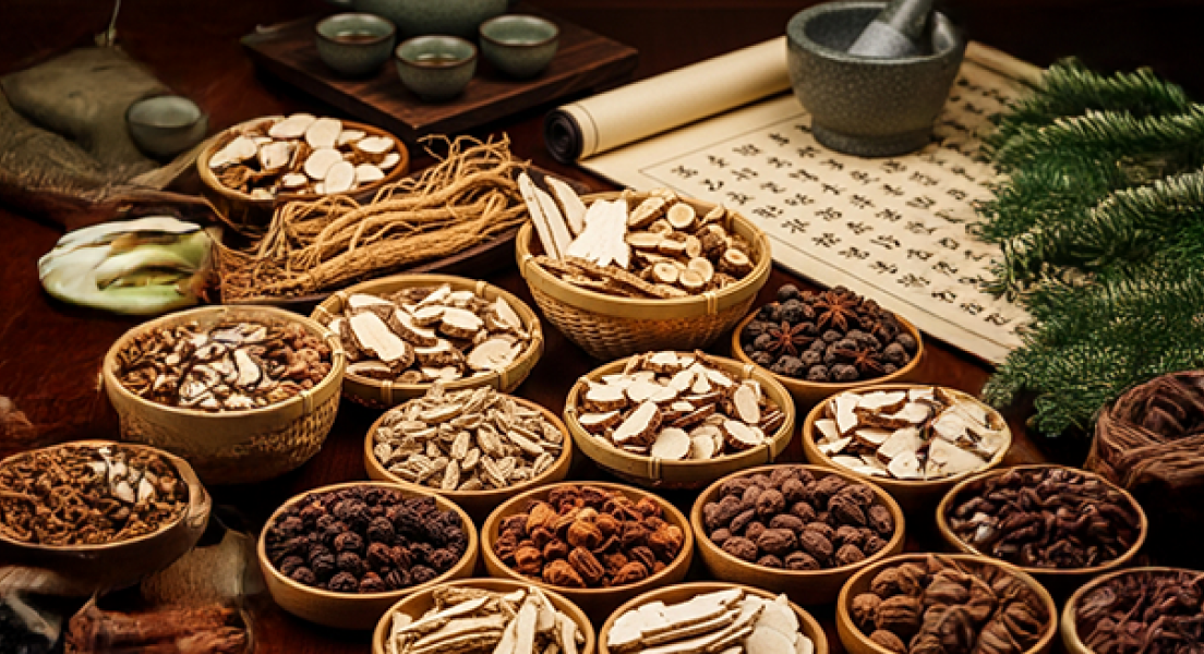 본초강목에 기록된 해마